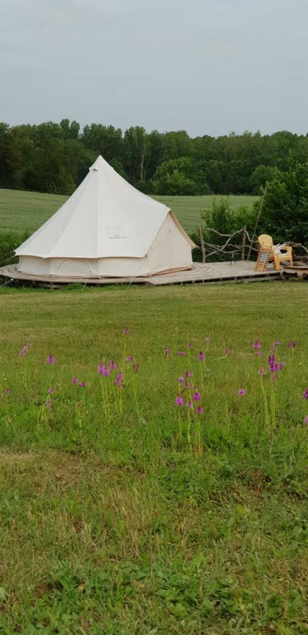Camping La Petite Houmee Curzay-sur-Vonne Dış mekan fotoğraf
